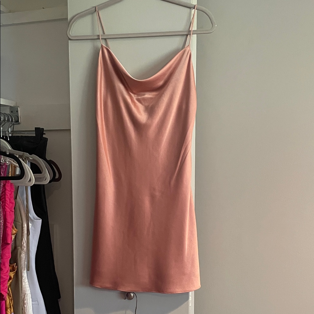 Alice + Olivia Blush Pink Slip Dress